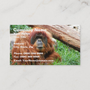 Carte De Visite Orang-outan somnolent