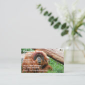 Carte De Visite Orang-outan somnolent (Debout devant)