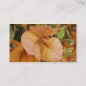Carte de visite Orange Bougainvillea (Dos)