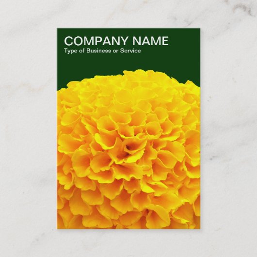 Carte De Visite Orange Chrysanthemum - Vert foncé 003300 (Devant)