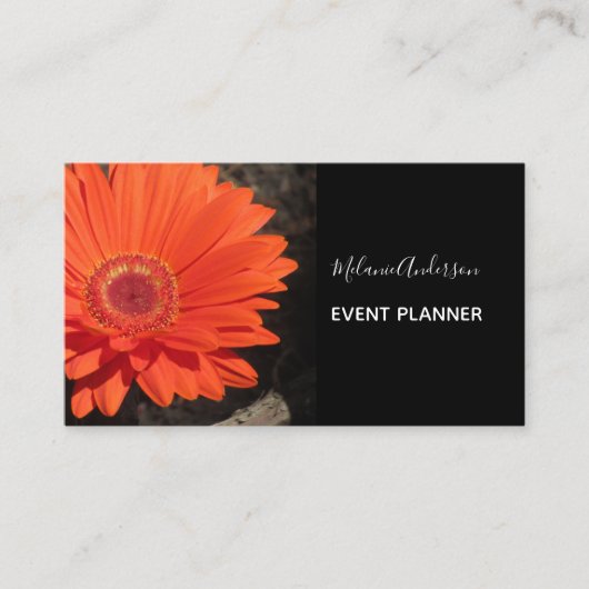 Carte De Visite Orange Daisy Flower Photo (Devant)