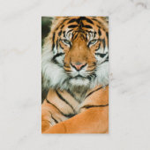 Carte de visite orange de tigre (Dos)
