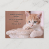 Carte De Visite Orange Kitten Rose Soin pour animaux de compagnie  (Devant)