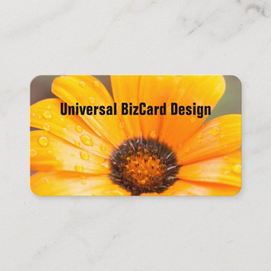 Carte De Visite Orange Spring Flash Africain Daisy Gros plan (Devant)