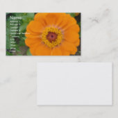 Carte De Visite Orange Zinnia (Devant / Derrière)