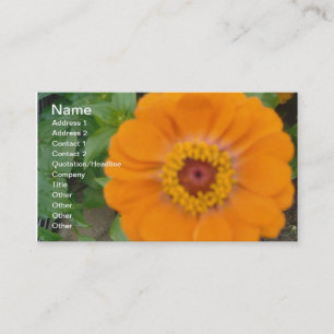 Carte De Visite Orange Zinnia