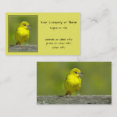 Carte De Visite Orchard Oriole - Photo originale (Devant / Derrière)