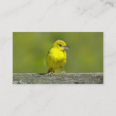 Carte De Visite Orchard Oriole - Photo originale (Dos)