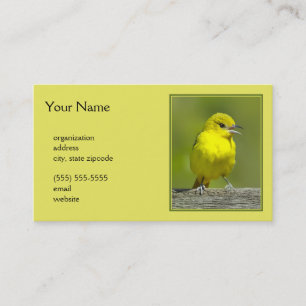 Carte De Visite Orchard Oriole - Photo originale