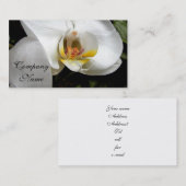 Carte De Visite Orchidée blanche (Devant / Derrière)