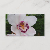 Carte De Visite Orchidée Blanche I Belle Fleur Tropicale (Dos)