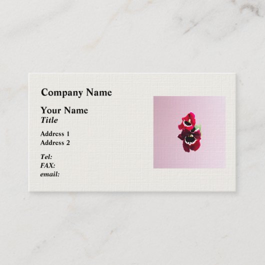 Carte De Visite Orchidée de Maroon Miltonia (Devant)
