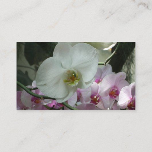 Carte De Visite Orchidées blanches et violettes (Dos)