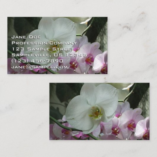 Carte De Visite Orchidées blanches et violettes (Devant / Derrière)