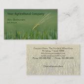 Carte De Visite Oreille solitaire d'orge dans un domaine (Devant / Derrière)