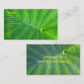 Carte De Visite Oreilles éléphantes - Colocasia (Devant / Derrière)