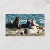 Carte De Visite Otaries de San Diego (Dos)