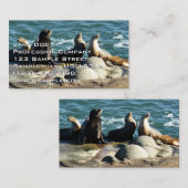 Carte De Visite Otaries de San Diego (Devant / Derrière)