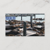 Carte De Visite Otaries du quai 39 (Dos)