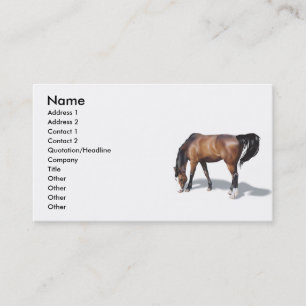 Carte De Visite Other017, Nom, Adresse 1, Adresse 2, Contact ...