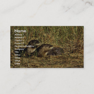 Carte De Visite Otter