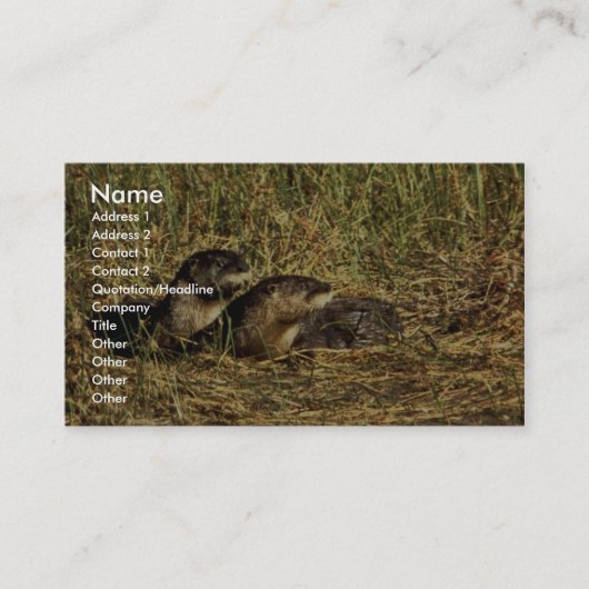 Carte De Visite Otter (Devant)