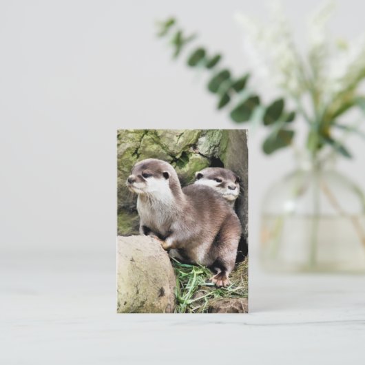 CARTE DE VISITE OTTERS (Debout devant)