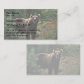 Carte De Visite Ours Brown Kodiak (Devant / Derrière)