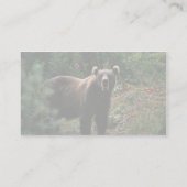 Carte De Visite Ours Brown Kodiak (Dos)