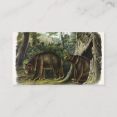 Carte De Visite Ours de cannelle des Quadrupeds d'Audubon (Dos)