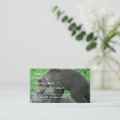 Carte De Visite Ours de reniflement (Debout devant)