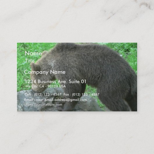 Carte De Visite Ours de reniflement (Devant)