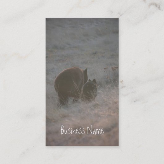 Carte De Visite Ours marchant au coucher du soleil ; Promotionnel (Devant)