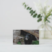 Carte De Visite Ours noir (Debout devant)
