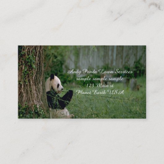 Carte De Visite Ours Panda (Devant)