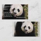 Carte De Visite Ours panda mignon (Devant / Derrière)