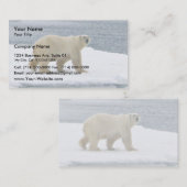 Carte De Visite Ours polaire (Devant / Derrière)