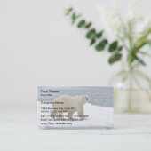 Carte De Visite Ours polaire (Debout devant)