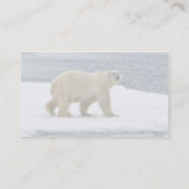 Carte De Visite Ours polaire (Dos)