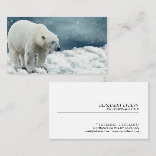 Carte De Visite Ours polaire (Devant / Derrière)