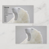 Carte De Visite Ours polaire (Devant / Derrière)