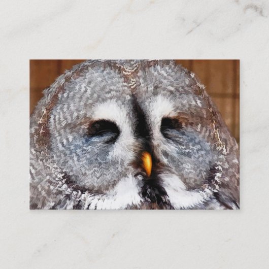 CARTE DE VISITE OWLS (Devant)