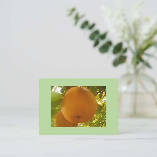 Carte De Visite Paire (Debout devant)