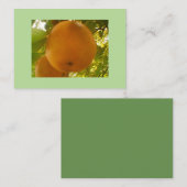 Carte De Visite Paire (Devant / Derrière)