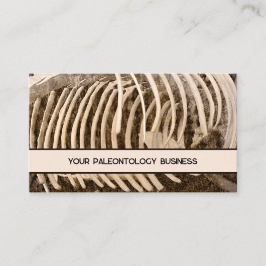 Carte De Visite Paleontology Bones Whale Skeleton (Devant)