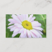 Carte De Visite Pâlissez - la marguerite peinte par rose (Dos)