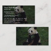 Carte De Visite Panda géant, province de Sichuan, Chine (Devant / Derrière)