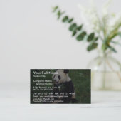 Carte De Visite Panda géant, province de Sichuan, Chine (Debout devant)