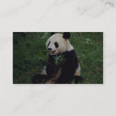 Carte De Visite Panda géant, province de Sichuan, Chine (Dos)