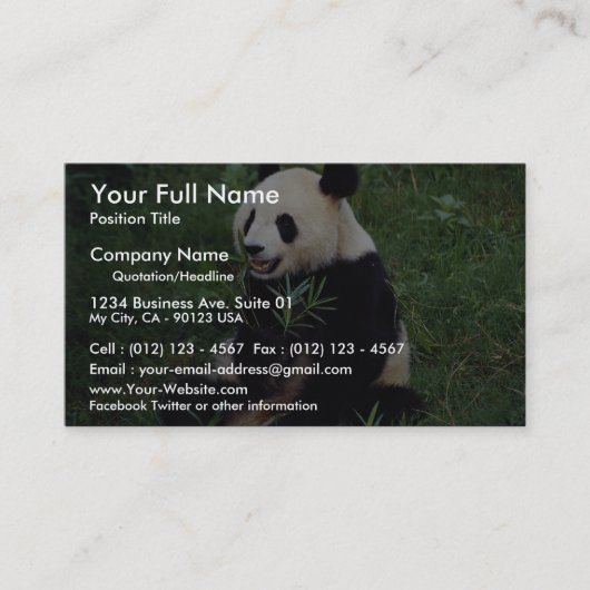 Carte De Visite Panda géant, province de Sichuan, Chine (Devant)